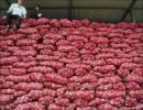 Onion prices jump back to Rs 80/kg