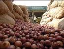 Onion prices remain high at up to Rs 70/kg