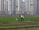 EXCLUSIVE: Jairam Ramesh on why India needs a new land bill