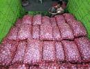 Onion prices bring tears again