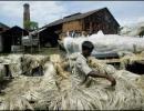 Strikes, lockouts haunt Bengal jute industry