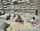 Assam ready to implement food security ordinance in 6 months