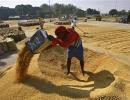 India hopes food security issues will be resolved at Bali meet