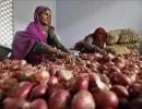 Onion prices to come down in 10 days, assures minister