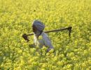 Things you must know about the Land Acquisition Bill