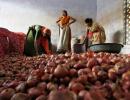 Onions prices to ease in 2-3 weeks on fresh output: Minister