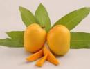 Ban on Alphonso mangoes: India to take up the issue with EU