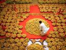 EU lifts ban on import of mangoes from India