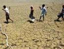 Climate change: Adaptation cost in developing nations is huge