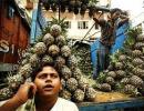 India sees clear pick up in growth momentum: OECD