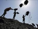 CIL to pay special dividend if stake sale fails: Economist