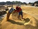 Global food prices drop 1.6% in 2013