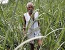 Bad monsoon starts farmer's 'journey to hell'