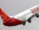 SpiceJet admits faults; promises to 'adjust processes'