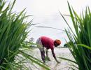 Government alert to deal with subnormal monsoon: Prez