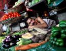 Mumbai sees green vegetable prices double in 4 weeks