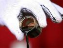 Crude oil price may stay low for some time