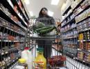 Grocery chains log on to e-commerce