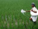 IIFCO ranked 1st among world's largest agri cooperatives