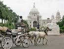 Kolkata scores high on hotel occupancy, says survey