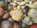 India's retail inflation hits three-month low, scope for rate cut