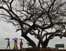 Monsoon hits Kerala, 1 dead due to heavy rains