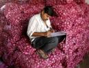 'Once in two years, onion crisis is bound to arise in India'