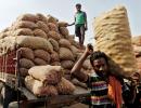 Economic Survey pegs growth rate at over 8%