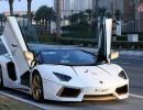 Driving the dream: A gold-plated Lamborghini Aventador!