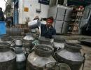 In India, 3 of 4 companies adulterating food go unpunished