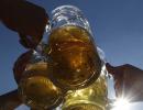 Beer, whisky may come under food regulator's lens