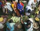 Why vegetable prices are sky high once again