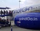 IndiGo and the habit of consistently making money