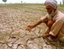 'Prolonged period of below-normal rain is due to change this year'