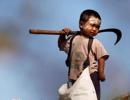 Who will benefit from the Child Labour Act, Mr Modi?