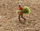 Budget 2016: Modi's panacea for rural India is as hopeless as ever