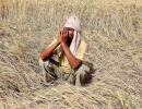 Not just rich farmers, even agri cos with Rs 215 cr profit pay no tax