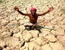 'Only 10% of farmers gain from loan waivers'