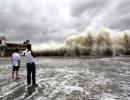 Climate change: Here's what writer Amitav Ghosh has to say