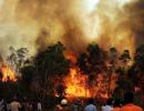 Peak tourism season in Uttarakhand hit by forest fire