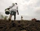 Scanty rain in June hits sowing of kharif crops