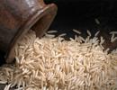 Iran's coronavirus outbreak leads to cheaper basmati