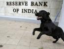 RBI may deliver final rate cut in December: BofA-ML