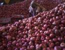 Govt bans onion export, imposes stock limit