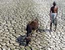 Plan to make Maharashtra drought-free by 2019 fails