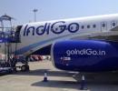 Flyer complained about mosquitoes, removed from IndiGo flight