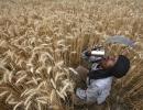 MSP hike may hit India's farm exports