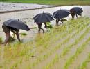 In a relief to farmers, Skymet predicts normal monsoon