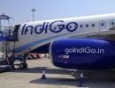 IndiGo no more in race to buy Air India