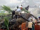 India's sugar production to cross record 30 million tonne